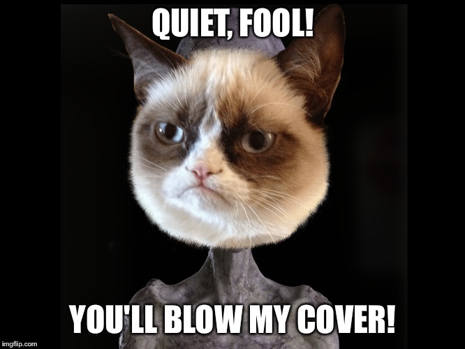 QUIET, FOOL! YOU'LL BLOW MY COVER! | made w/ Imgflip meme maker