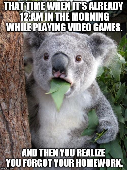 Surprised Koala | THAT TIME WHEN IT'S ALREADY 12:AM IN THE MORNING WHILE PLAYING VIDEO GAMES. AND THEN YOU REALIZE YOU FORGOT YOUR HOMEWORK. | image tagged in memes,surprised koala | made w/ Imgflip meme maker