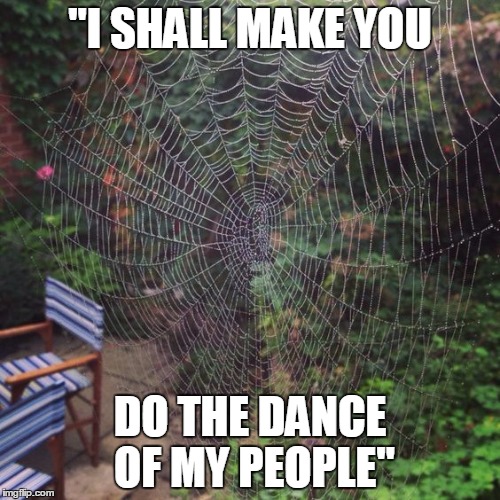 "I SHALL MAKE YOU; DO THE DANCE OF MY PEOPLE" | image tagged in spider walk | made w/ Imgflip meme maker