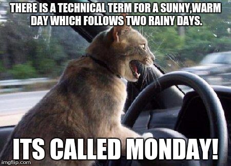 catsale | THERE IS A TECHNICAL TERM FOR A SUNNY,WARM DAY WHICH FOLLOWS TWO RAINY DAYS. ITS CALLED MONDAY! | image tagged in catsale | made w/ Imgflip meme maker