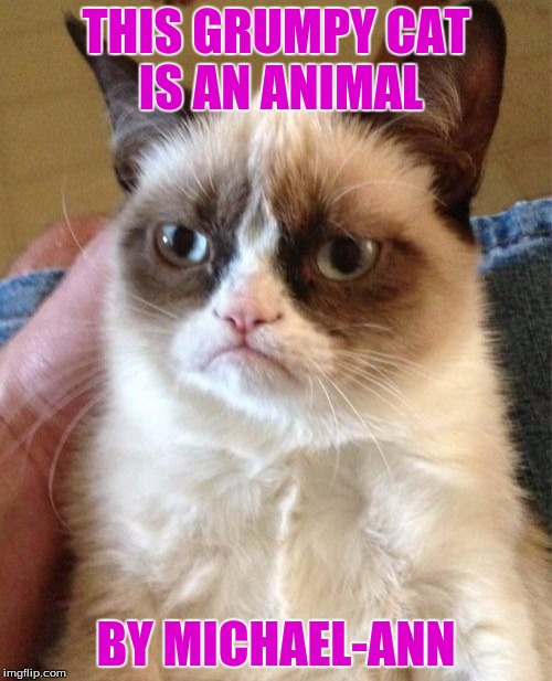 Grumpy Cat Meme | THIS GRUMPY CAT IS AN ANIMAL; BY MICHAEL-ANN | image tagged in memes,grumpy cat | made w/ Imgflip meme maker