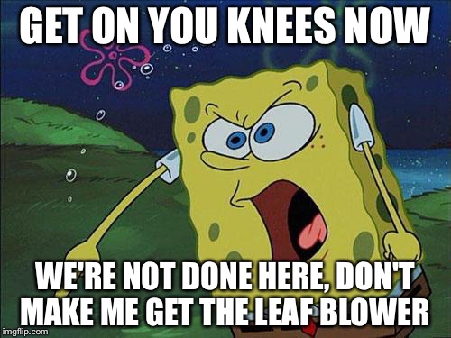 spongebob | GET ON YOU KNEES NOW; WE'RE NOT DONE HERE, DON'T MAKE ME GET THE LEAF BLOWER | image tagged in spongebob | made w/ Imgflip meme maker