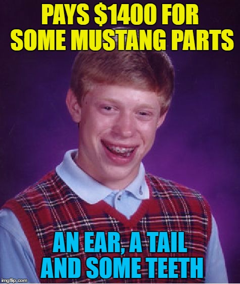 Inspired by a wakester meme | PAYS $1400 FOR SOME MUSTANG PARTS; AN EAR, A TAIL AND SOME TEETH | image tagged in memes,bad luck brian,mustang,shopping,money | made w/ Imgflip meme maker