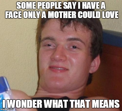 10 Guy | SOME PEOPLE SAY I HAVE A FACE ONLY A MOTHER COULD LOVE; I WONDER WHAT THAT MEANS | image tagged in memes,10 guy | made w/ Imgflip meme maker