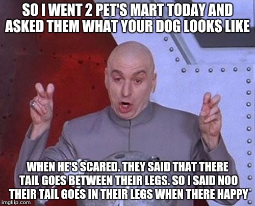 Dr Evil Laser | SO I WENT 2 PET'S MART TODAY AND ASKED THEM WHAT YOUR DOG LOOKS LIKE; WHEN HE'S SCARED. THEY SAID THAT THERE TAIL GOES BETWEEN THEIR LEGS. SO I SAID NOO THEIR TAIL GOES IN THEIR LEGS WHEN THERE HAPPY | image tagged in memes,dr evil laser | made w/ Imgflip meme maker