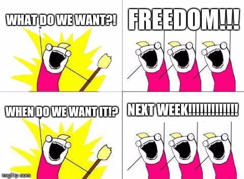 What Do We Want Meme | WHAT DO WE WANT?! FREEDOM!!! NEXT WEEK!!!!!!!!!!!!! WHEN DO WE WANT IT!? | image tagged in memes,what do we want | made w/ Imgflip meme maker