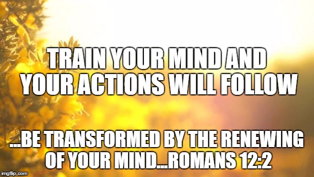 Yellow nature | TRAIN YOUR MIND AND YOUR ACTIONS WILL FOLLOW; ...BE TRANSFORMED BY THE RENEWING OF YOUR MIND...ROMANS 12:2 | image tagged in yellow nature | made w/ Imgflip meme maker