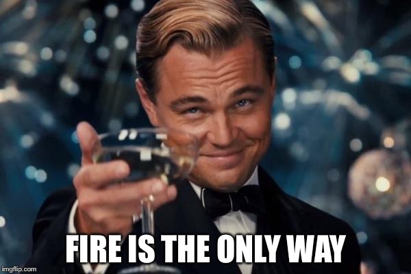 Leonardo Dicaprio Cheers Meme | FIRE IS THE ONLY WAY | image tagged in memes,leonardo dicaprio cheers | made w/ Imgflip meme maker