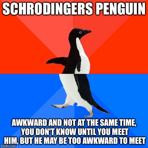 Socially Awesome Awkward Penguin Meme | SCHRODINGERS PENGUIN AWKWARD AND NOT AT THE SAME TIME, YOU DON'T KNOW UNTIL YOU MEET HIM, BUT HE MAY BE TOO AWKWARD TO MEET | image tagged in memes,socially awesome awkward penguin | made w/ Imgflip meme maker
