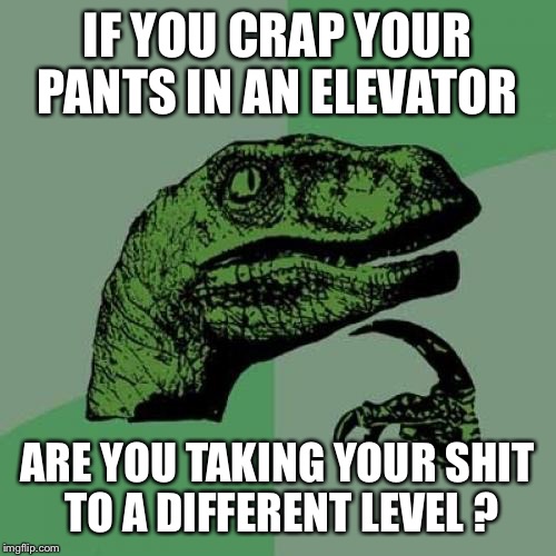 Keeping it real on every level  | IF YOU CRAP YOUR PANTS IN AN ELEVATOR; ARE YOU TAKING YOUR SHIT TO A DIFFERENT LEVEL ? | image tagged in memes,philosoraptor,funny | made w/ Imgflip meme maker
