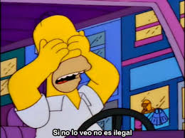 Homer simpson ilegal Blank Meme Template