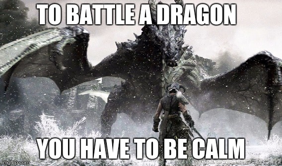 Skyrim Battle | TO BATTLE A DRAGON; YOU HAVE TO BE CALM | image tagged in skyrim meme | made w/ Imgflip meme maker