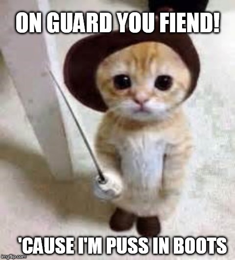 The Puss in Boots | ON GUARD YOU FIEND! 'CAUSE I'M PUSS IN BOOTS | image tagged in kitty | made w/ Imgflip meme maker