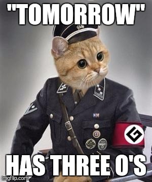 Grammar Nazi Cat | "TOMORROW"; HAS THREE O'S | image tagged in grammar nazi cat | made w/ Imgflip meme maker