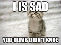 Sad Cat | I IS SAD; YOU DUMB DIDN'T KNOE | image tagged in memes,sad cat | made w/ Imgflip meme maker