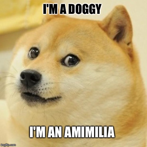 Doge | I'M A DOGGY; I'M AN AMIMILIA | image tagged in memes,doge | made w/ Imgflip meme maker