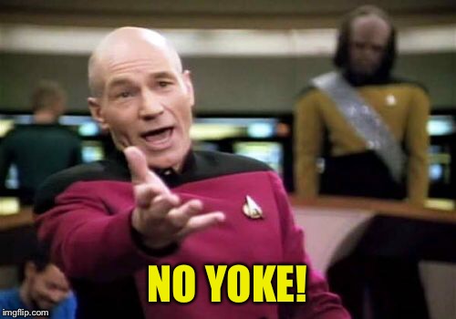 Picard Wtf Meme | NO YOKE! | image tagged in memes,picard wtf | made w/ Imgflip meme maker