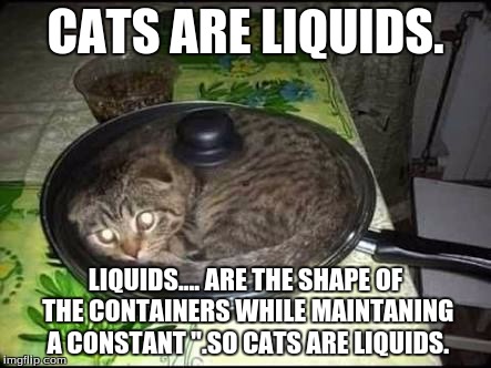 Crazy cats | CATS ARE LIQUIDS. LIQUIDS.... ARE THE SHAPE OF THE CONTAINERS WHILE MAINTANING A CONSTANT ''.SO CATS ARE LIQUIDS. | image tagged in crazy cats | made w/ Imgflip meme maker