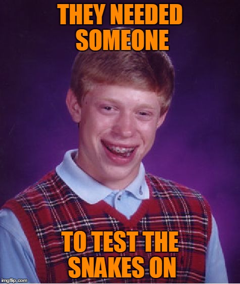 Bad Luck Brian Meme | THEY NEEDED SOMEONE TO TEST THE SNAKES ON | image tagged in memes,bad luck brian | made w/ Imgflip meme maker