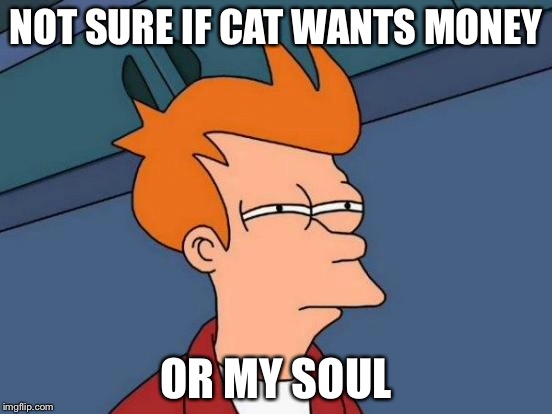 Futurama Fry Meme | NOT SURE IF CAT WANTS MONEY OR MY SOUL | image tagged in memes,futurama fry | made w/ Imgflip meme maker