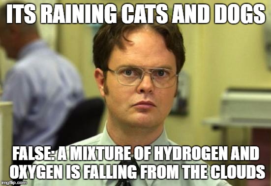 Dwight Schrute | ITS RAINING CATS AND DOGS; FALSE: A MIXTURE OF HYDROGEN AND OXYGEN IS FALLING FROM THE CLOUDS | image tagged in memes,dwight schrute | made w/ Imgflip meme maker