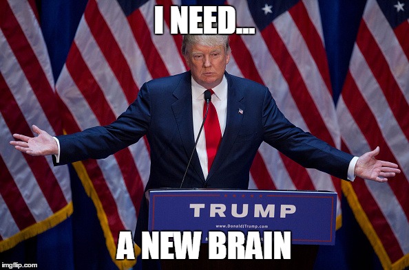 Donald Trump | I NEED... A NEW BRAIN | image tagged in donald trump | made w/ Imgflip meme maker