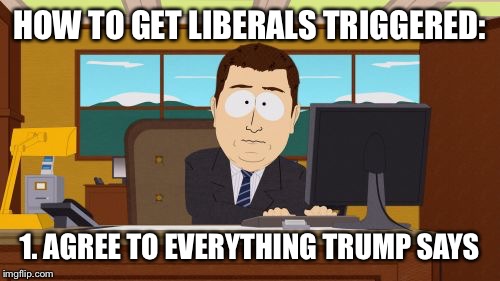 Aaaaaannd they're triggered | HOW TO GET LIBERALS TRIGGERED:; 1. AGREE TO EVERYTHING TRUMP SAYS | image tagged in memes,aaaaand its gone | made w/ Imgflip meme maker