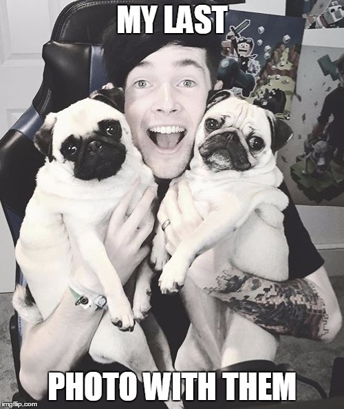 DanTDM and the pugs | MY LAST; PHOTO WITH THEM | image tagged in dantdm and the pugs | made w/ Imgflip meme maker