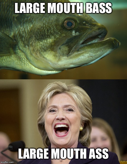 What Type Of Fish Is Hillary Clinton? | LARGE MOUTH BASS; LARGE MOUTH ASS | image tagged in memes,hillary clinton,political meme | made w/ Imgflip meme maker