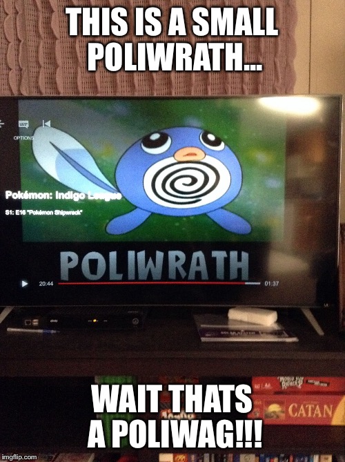 THIS IS A SMALL POLIWRATH... WAIT THATS A POLIWAG!!! | image tagged in poliwrath meme | made w/ Imgflip meme maker