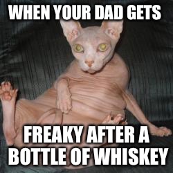 WHEN YOUR DAD GETS; FREAKY AFTER A BOTTLE OF WHISKEY | image tagged in memes | made w/ Imgflip meme maker