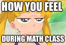 Mental. Abuse. To. Humans. | HOW YOU FEEL; DURING MATH CLASS | image tagged in math,sailormoon | made w/ Imgflip meme maker