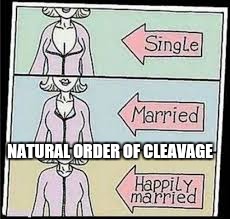 A Non-NSFW promo for Cleavage Week April 17-23 | NATURAL ORDER OF CLEAVAGE | image tagged in cleavage week,promo | made w/ Imgflip meme maker