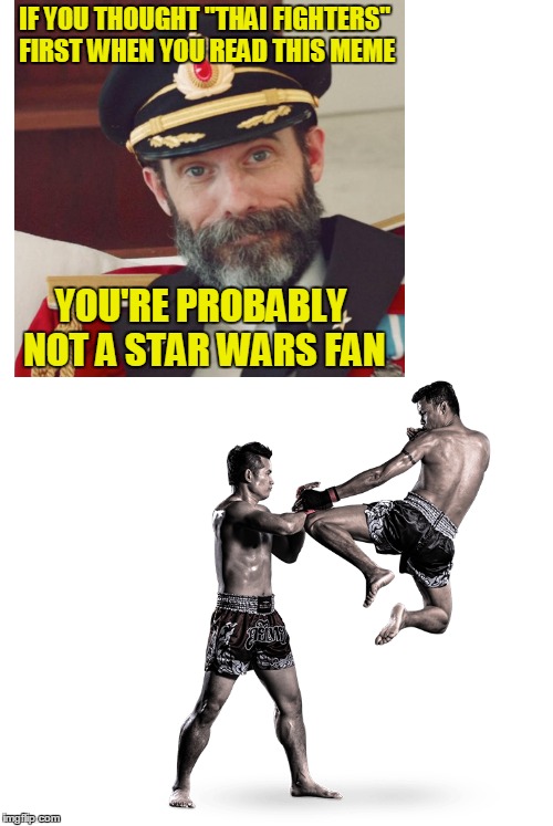IF YOU THOUGHT "THAI FIGHTERS" FIRST WHEN YOU READ THIS MEME YOU'RE PROBABLY NOT A STAR WARS FAN | made w/ Imgflip meme maker