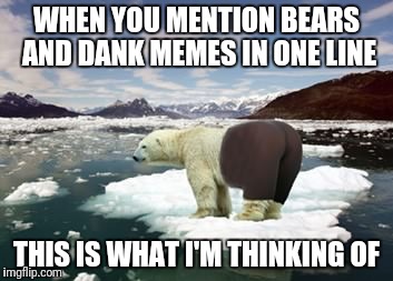 Yoga Bear | WHEN YOU MENTION BEARS AND DANK MEMES IN ONE LINE; THIS IS WHAT I'M THINKING OF | image tagged in yoga bear,memes,funny | made w/ Imgflip meme maker