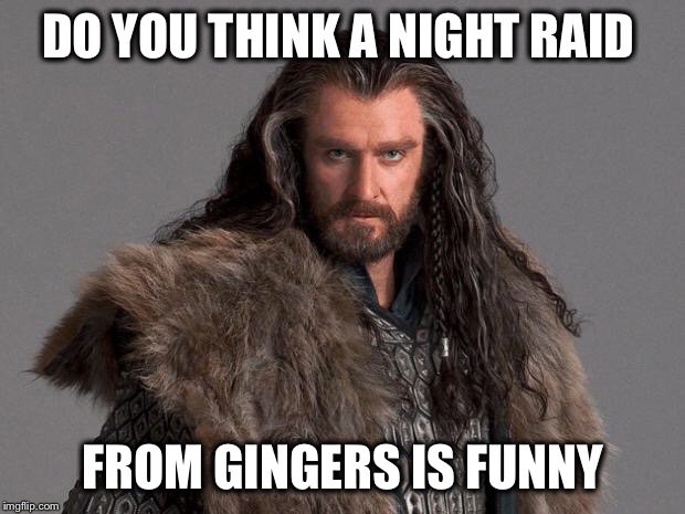 Thorin | DO YOU THINK A NIGHT RAID; FROM GINGERS IS FUNNY | image tagged in thorin | made w/ Imgflip meme maker