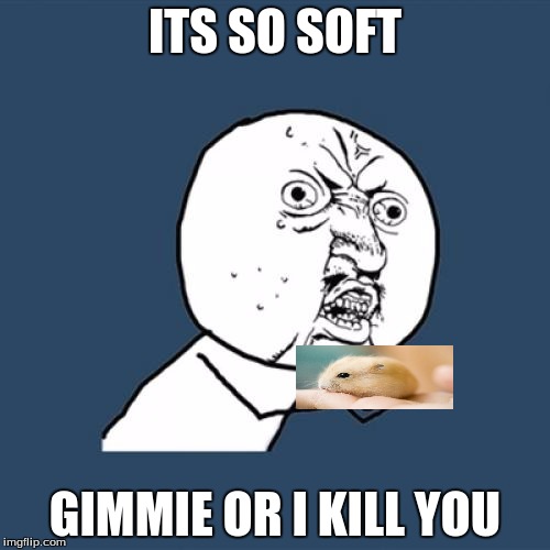 Y U No Meme | ITS SO SOFT; GIMMIE OR I KILL YOU | image tagged in memes,y u no | made w/ Imgflip meme maker