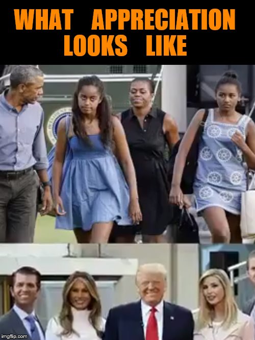 appreciation | WHAT    APPRECIATION   LOOKS    LIKE | image tagged in obama | made w/ Imgflip meme maker