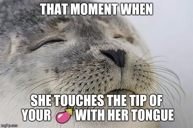 Satisfied Seal Meme | THAT MOMENT WHEN; SHE TOUCHES THE TIP OF YOUR  🍆 WITH HER TONGUE | image tagged in memes,satisfied seal | made w/ Imgflip meme maker