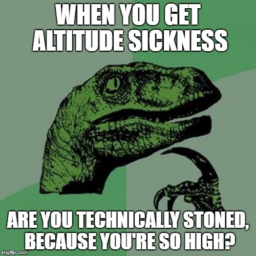 I've Been Thinking About This | WHEN YOU GET ALTITUDE SICKNESS; ARE YOU TECHNICALLY STONED, BECAUSE YOU'RE SO HIGH? | image tagged in memes,philosoraptor | made w/ Imgflip meme maker