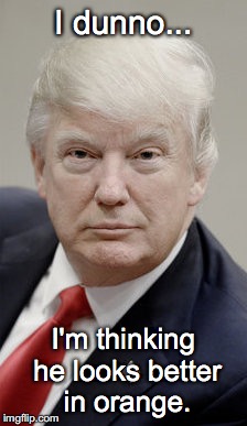 Albino Trump
 | I dunno... I'm thinking he looks better in orange. | image tagged in president cheeto,cheeto,orange trump,albino trump | made w/ Imgflip meme maker