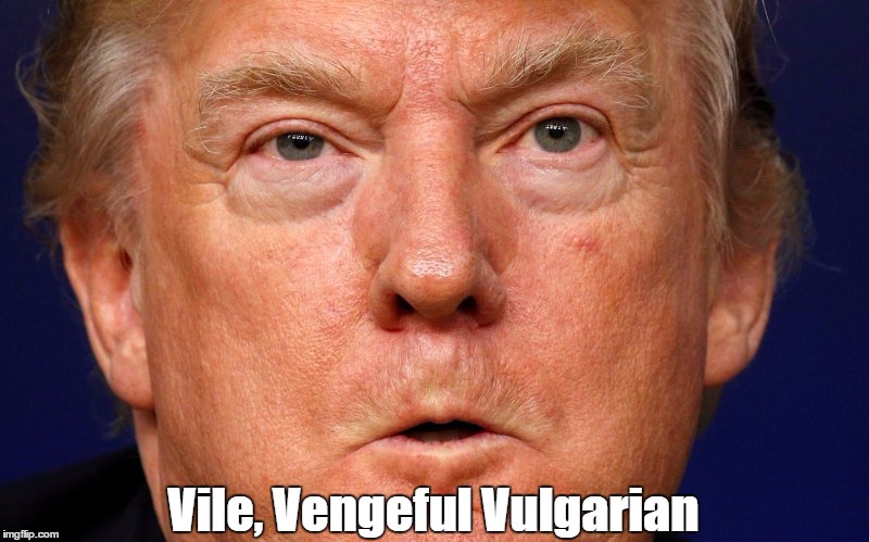 "Vile, Vengeful Vulgarian" | Vile, Vengeful Vulgarian | image tagged in trump,deplorable donald,despicable donald,devious donald,disgraceful donald,dishonorable donald | made w/ Imgflip meme maker