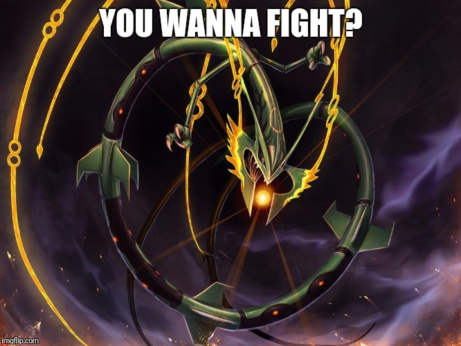 RayquazaMLG | YOU WANNA FIGHT? | image tagged in rayquazamlg | made w/ Imgflip meme maker