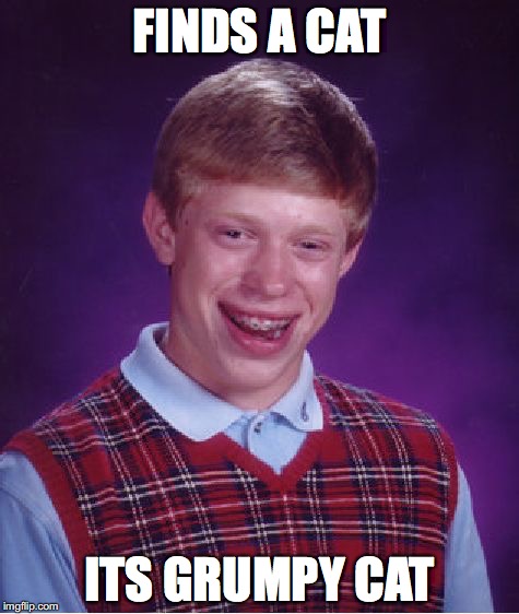 DAY 4 OF GRUMPY CAT WEEK | FINDS A CAT; ITS GRUMPY CAT | image tagged in memes,bad luck brian | made w/ Imgflip meme maker