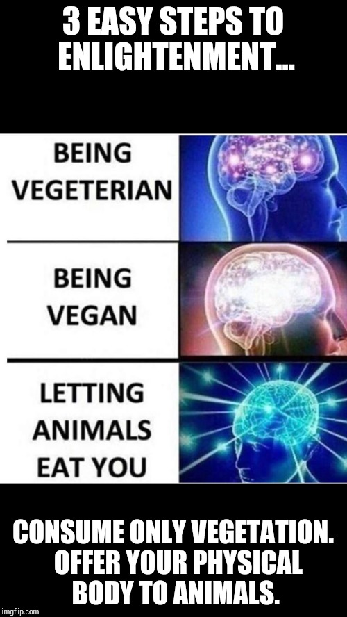 3 Easy Steps to Enlightenment  | 3 EASY STEPS TO ENLIGHTENMENT... CONSUME ONLY VEGETATION. 
OFFER YOUR PHYSICAL BODY TO ANIMALS. | image tagged in eat,vegetables,kill,yourself | made w/ Imgflip meme maker