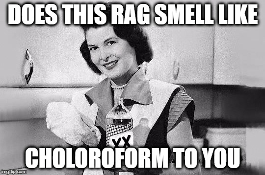Sniff this | DOES THIS RAG SMELL LIKE; CHOLOROFORM TO YOU | image tagged in rag,drugs,memes,vintage,retro,funny | made w/ Imgflip meme maker
