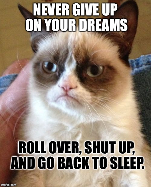 Grumpy Cat Meme | NEVER GIVE UP ON YOUR DREAMS; ROLL OVER, SHUT UP, AND GO BACK TO SLEEP. | image tagged in memes,grumpy cat | made w/ Imgflip meme maker