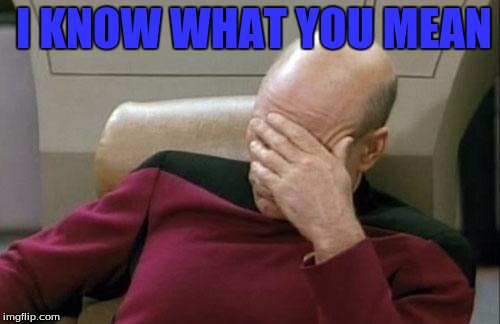 Captain Picard Facepalm Meme | I KNOW WHAT YOU MEAN | image tagged in memes,captain picard facepalm | made w/ Imgflip meme maker