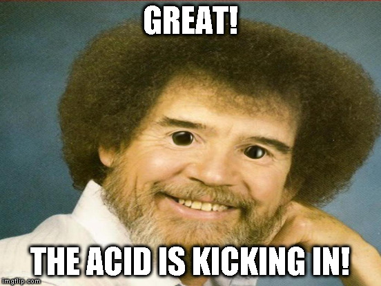 GREAT! THE ACID IS KICKING IN! | made w/ Imgflip meme maker