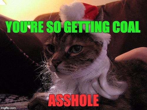 Mad Santa Cat
 | YOU'RE SO GETTING COAL; ASSHOLE | image tagged in santa,cat | made w/ Imgflip meme maker